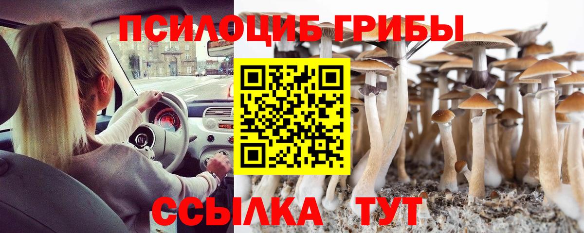Галлюциногенные грибы GOLDEN TEACHER  Вход с VPN  Новодвинск  Псилоцибиновые грибы Psilocybe 